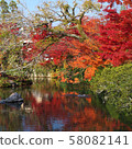 Autumn leaves, Kyoto, Nanzenji, Eikando, Zenrinji, red, yellow, background, beautiful 58082141