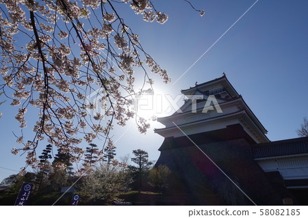 Kamiyama Castle of Sakura Kamiyama Castle of Sakura 58082185