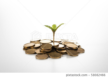 金錢和萌芽 金錢和萌芽 58082466