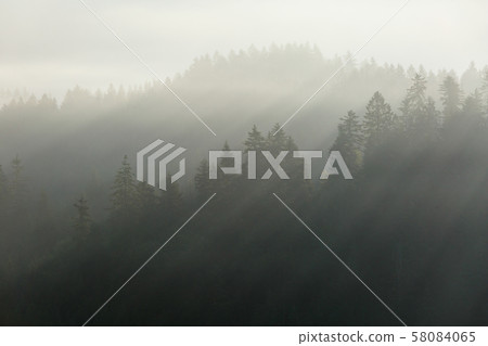 Turiec, Slovakia. 58084065