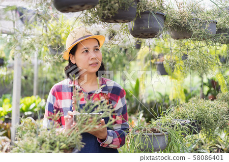 Asian woman is using a tablet to check the vegetation in the Ornamental plant shop 58086401