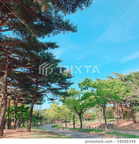 Blue spring 58088348