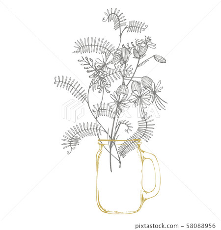 Branch of wild plant Vicia cracca. Tufted Vetch or Vicia cracca, vintage engraved illustration 58088956