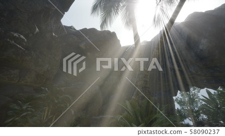 Big Palms in Stone Cave with Rays of Sunlight 58090237