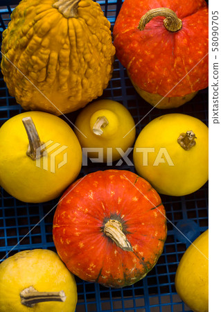 Decorative pumpkins for sale on the market. Autumn 58090705