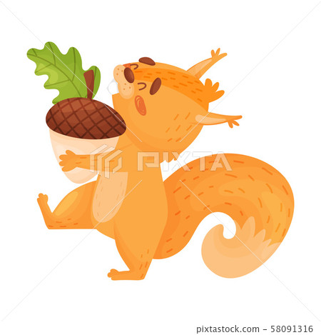 Funny Squirrel Carrying A Nut Vector Illustration On White Background. 58091316