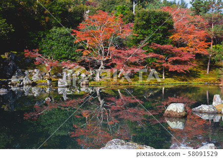 Zen garden 58091529