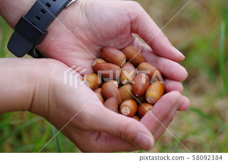 聚集的堅果 58092384