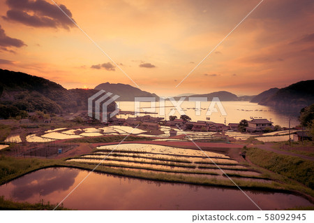 福井縣高橋町清晨的水稻梯田 58092945