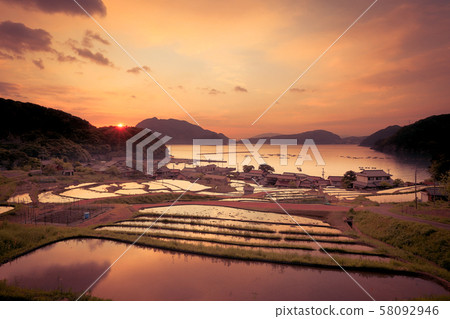 福井縣高橋町清晨的水稻梯田 58092946
