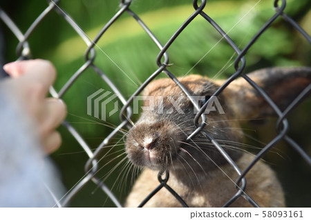 No trespassing | Animals No trespassing | Animals 58093161