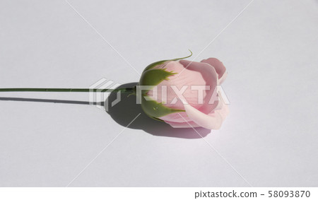Soap flower Soap flower 58093870