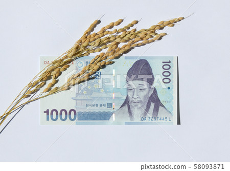Ear of rice Ear of rice 58093871