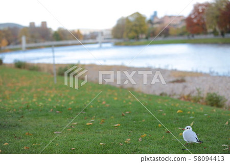 尼斯湖,蘇格蘭的景觀 尼斯湖,蘇格蘭的景觀 58094413