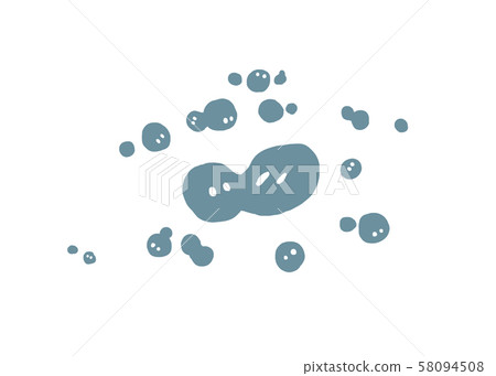 細菌生長，繁殖，分裂，細胞分裂 58094508