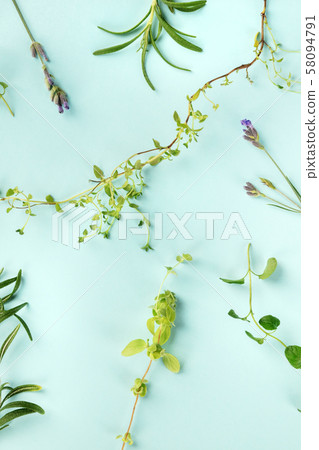 The herbs of Provence. Rosemary, lavender, oregano, thyme, and marjoram, shot from the top on a blue 58094791