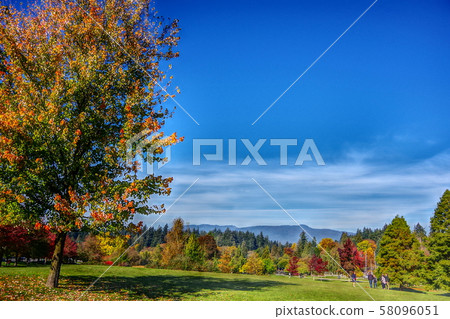 Autumn park Autumn park 58096051