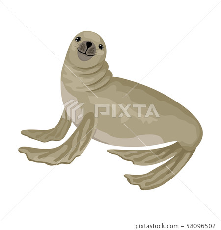 Fur seal is smiling. Vector isolated animal character. Fur seal is smiling. Vector isolated animal character. 58096502