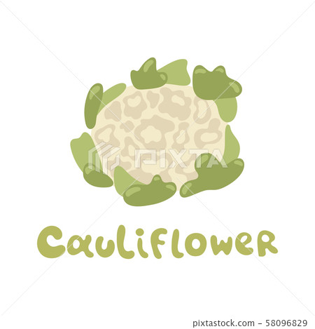 Cauliflower vector icon in flat style. Isolated object. Cauliflower logo. Isolated object. Vegetable Cauliflower vector icon in flat style. Isolated object. Cauliflower logo. Isolated object. Vegetable 58096829