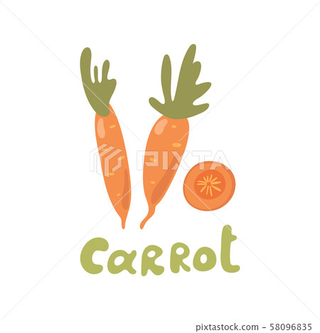 Vector illustration of carrot with tops. Sliced carrots. Pieces of carrots. Doodle style 58096835