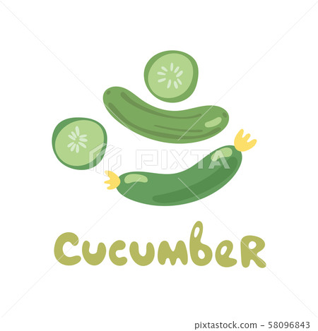 Fresh cucumber. Cut and sliced. Cooking illustration in modern flat vector style. 58096843