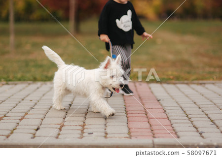 Happy mother and her daughter playing with dog in autumn park. Family, pet, domestic animal and 58097671