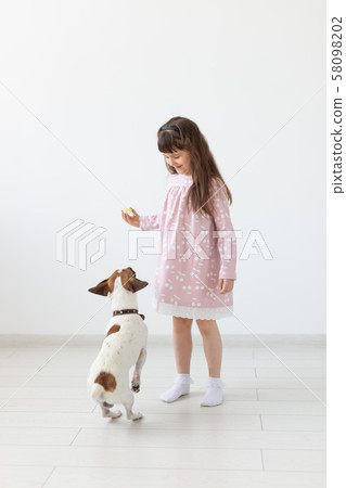 Cheerful little girl in a blue dress playing with her beloved dog Jack Russell Terrier. Friendship Cheerful little girl in a blue dress playing with her beloved dog Jack Russell Terrier. Friendship 58098202