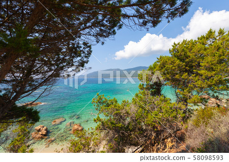 Coastal landscape of Corsica island, France Coastal landscape of Corsica island, France 58098593