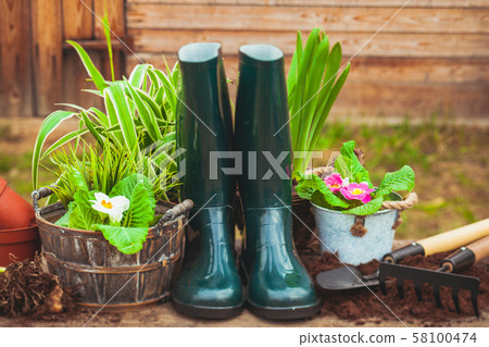 Rubber boots between greens in pots and soil 58100474