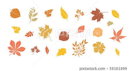 Autumn leaves set. Fall leaf floral icons  58101899