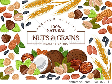 Vector nuts and cereal grains 58102201