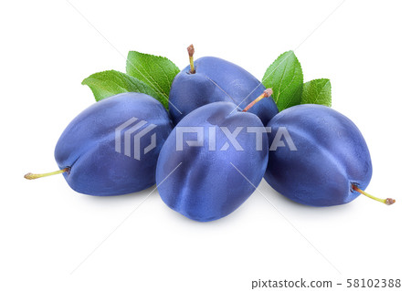fresh plum with leaves isolated on white background fresh plum with leaves isolated on white background 58102388