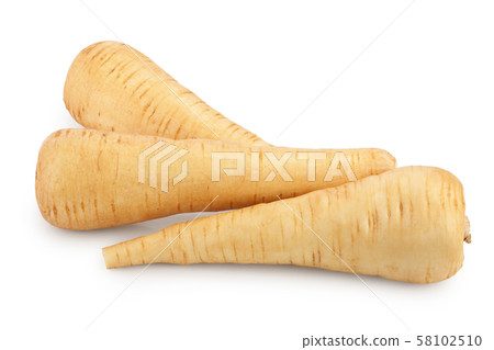 Parsnip root isolated on white background closeup 58102510