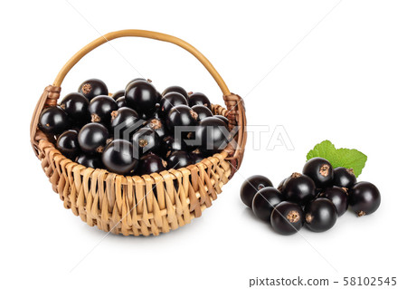 Pile of black currant and in basket isolated on white background Pile of black currant and in basket isolated on white background 58102545