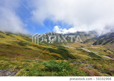 立山，雷鳥，正武，中部山國家公園，北阿爾卑斯山 58102908