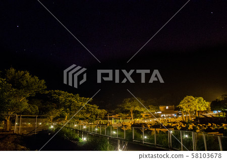 Izu Animal Kingdom Night Safari Izu Animal Kingdom Night Safari 58103678