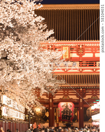 Sensoji Temple and the night cherry blossoms Sensoji Temple and the night cherry blossoms 58104031