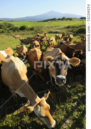 Ranch Ranch 58104854