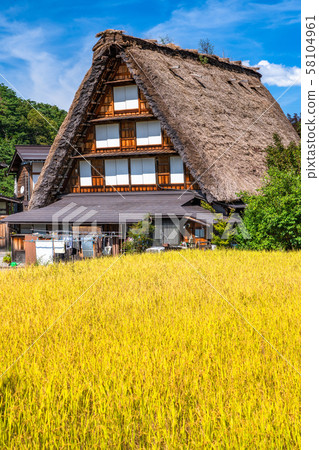 《Gifu Prefecture》Shirakawago Gassho-zukuri Village/Autumn harvest season 58104961