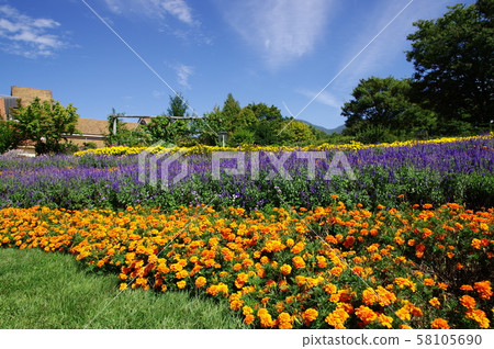 山梨縣北斗市明野町海蒂村 山梨縣北斗市明野町海蒂村 58105690