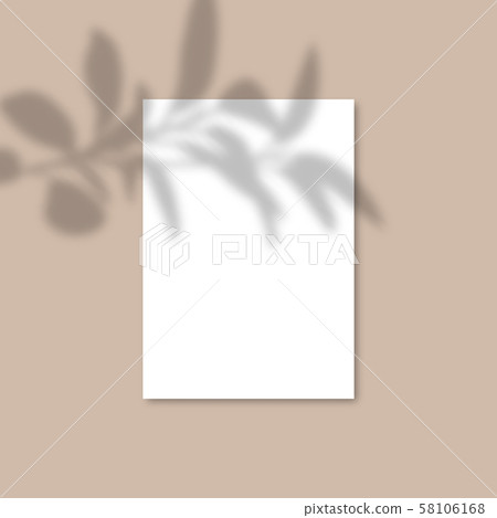 Download Shadow Overlay Plant Vector Mockup A4 Paper Stock Illustration 58106168 Pixta PSD Mockup Templates