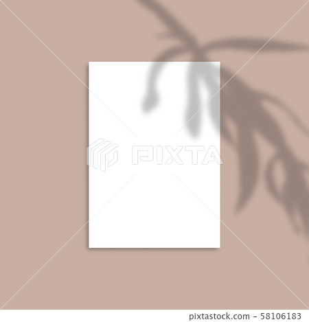 Download Shadow Overlay Plant Vector Mockup A4 Paper Stock Illustration 58106183 Pixta PSD Mockup Templates