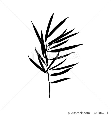 Black Ficus plant Silhouette isolated on white background. Vector Illustration Black Ficus plant Silhouette isolated on white background. Vector Illustration 58106201