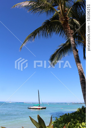 夏威夷海 夏威夷海 58106251