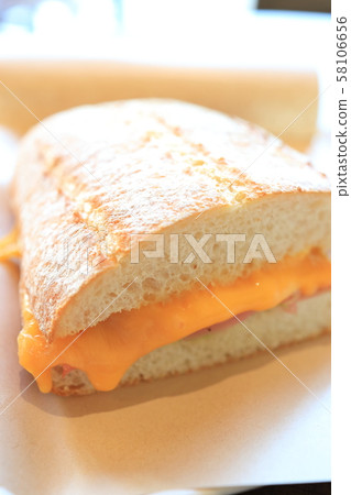 Delicious cheese sandwich 58106656