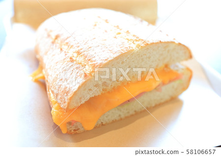 Delicious cheese sandwich 58106657