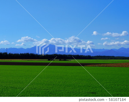 從北海道十勝平原看的日高山脈（Sarabetsu村） 58107184