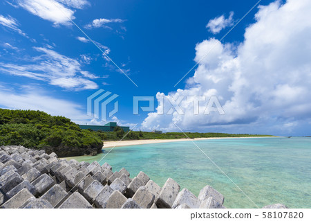 [Hateruma島] Hateruma藍色四足動物 58107820