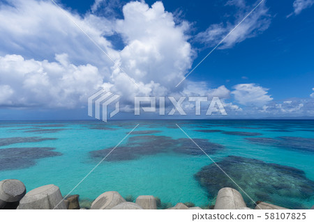 [Hateruma Island] Hateruma Blue Tetrapod 58107825
