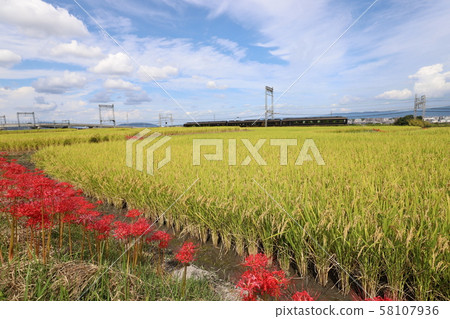 Autumn view of Yamatoji Autumn view of Yamatoji 58107936